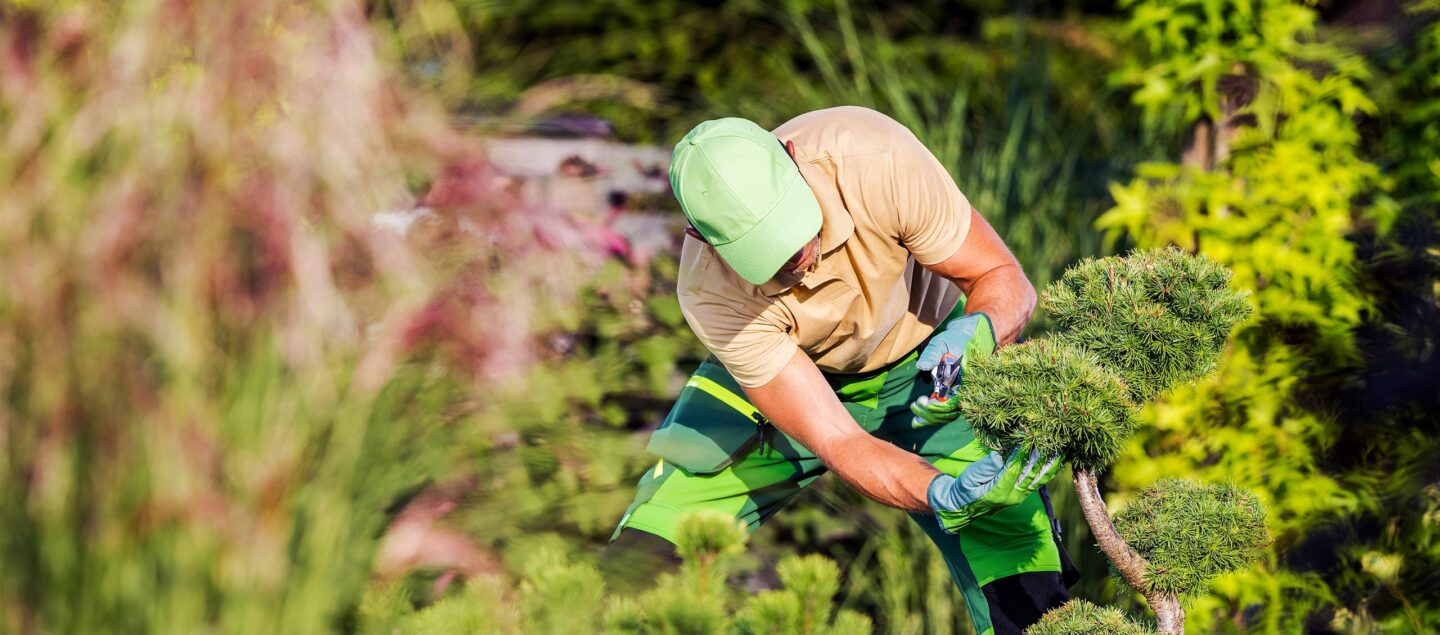 homme d'entretien de la ville qui coupe des arbres